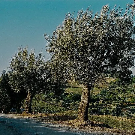 Rural Casa Dos Viscondes Da Varzea Otel