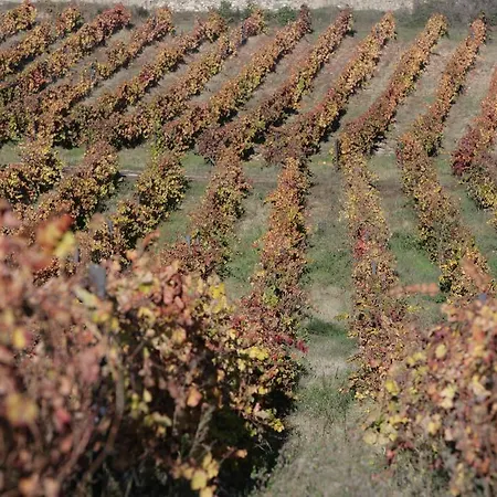 Rural Casa Dos Viscondes Da Varzea Hotel