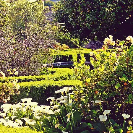 Rural Casa Dos Viscondes Da Varzea Lamego