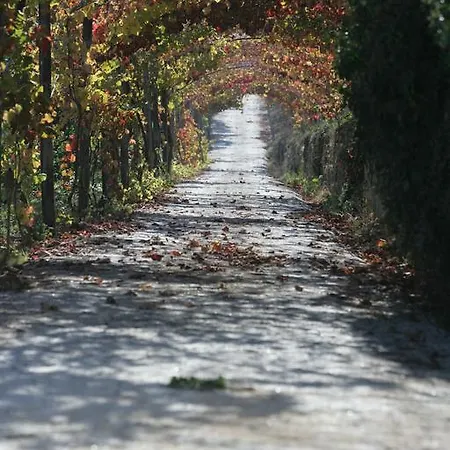 Rural Casa Dos Viscondes Da Varzea Otel Lamego