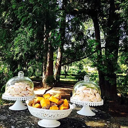 Rural Casa Dos Viscondes Da Varzea 4* لاميغو