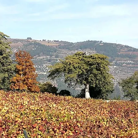 Rural Casa Dos Viscondes Da Varzea فندق 4*