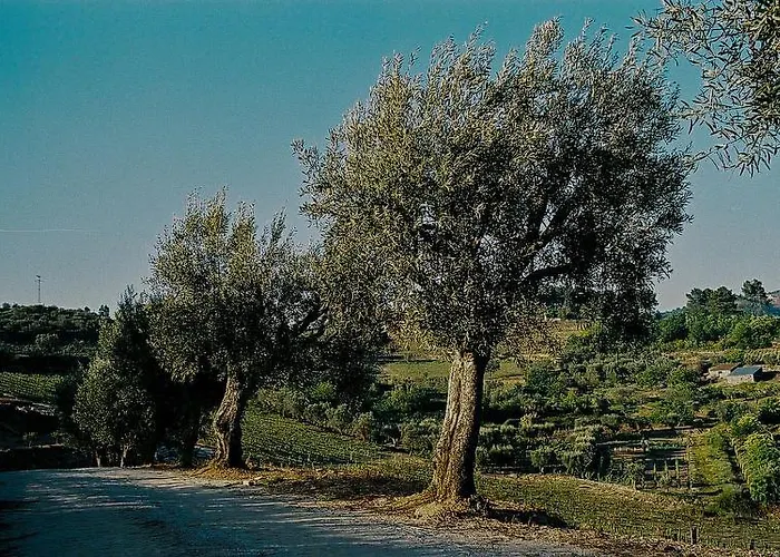 Rural Casa Dos Viscondes Da Varzea Otel