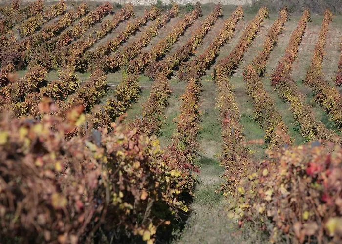 Rural Casa Dos Viscondes Da Varzea Otel