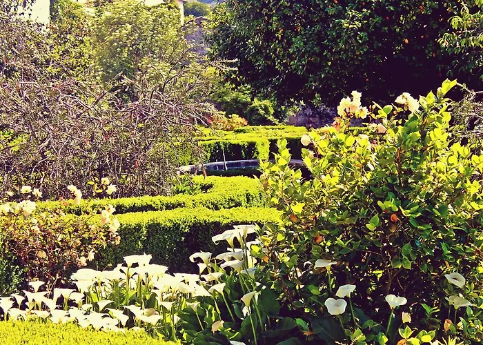 Rural Casa Dos Viscondes Da Varzea Lamego