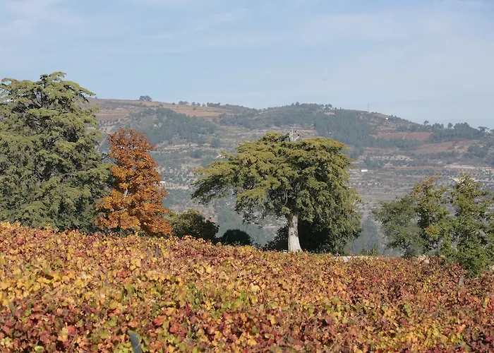 Rural Casa Dos Viscondes Da Varzea Hotel