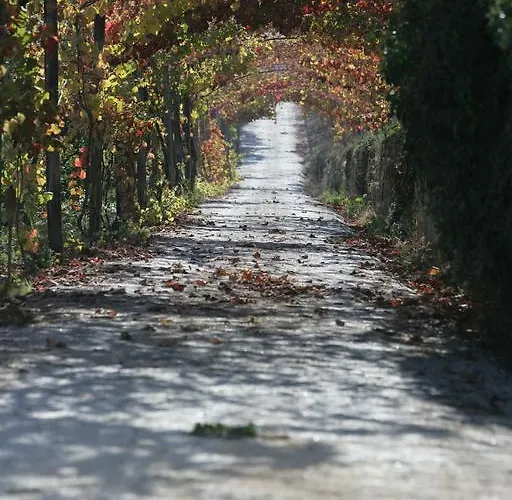 Rural Casa Dos Viscondes Da Varzea Hotel Lamego